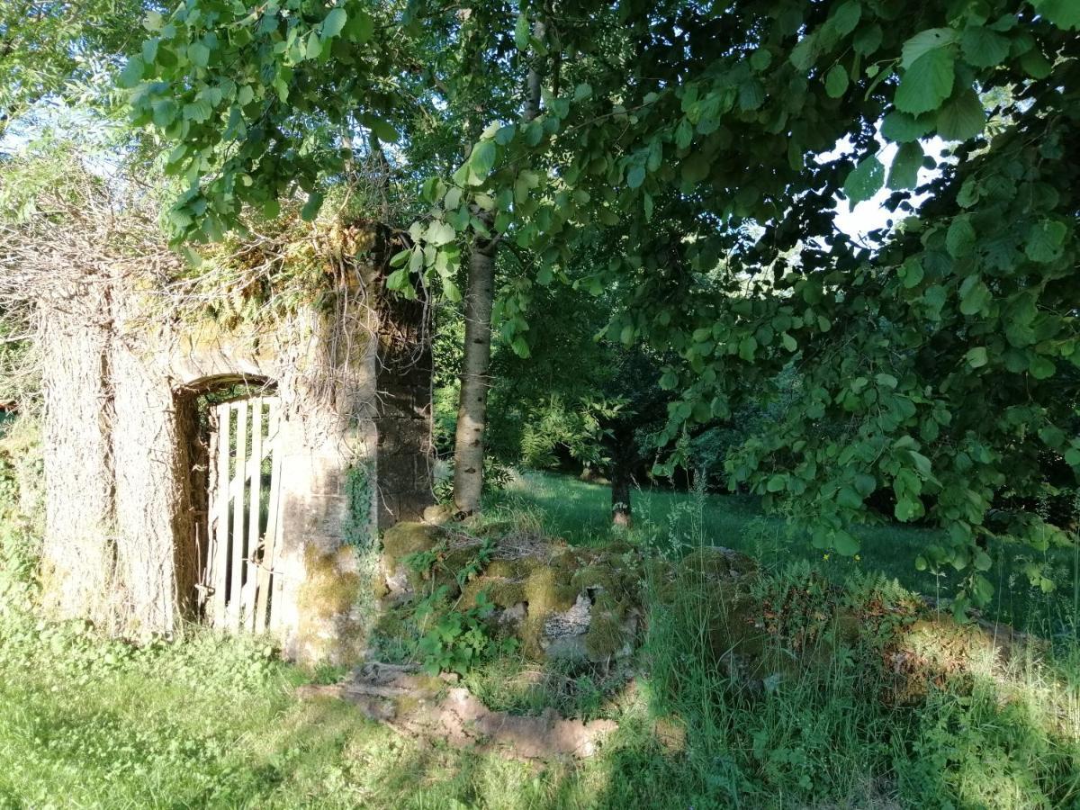 Le Miraillet, Gite Saint-Illide Екстер'єр фото